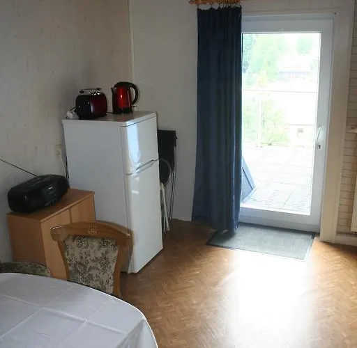 Апартаменты Ferienwohnung Rumrich Альтенберг